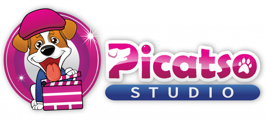 Picatso Studio Logo